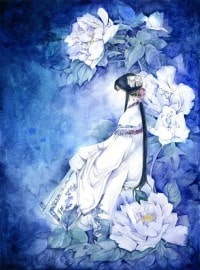 红楼之好想哭