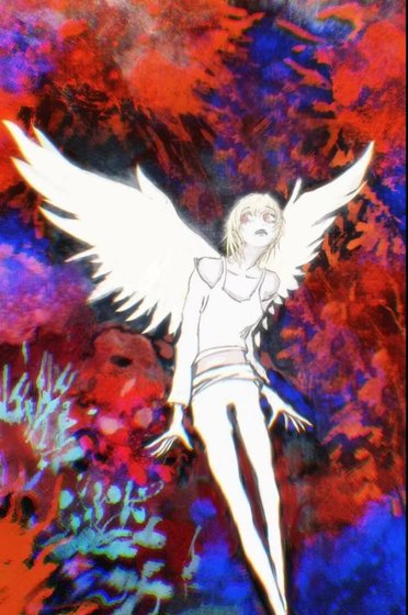 [暮光]鉑金鳥